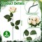 6PCS Baseball Rose Artificial Flowers with Leaves, White Silk Faux Roses 15.7" Sports Theme Flower Bouquet for Wedding, Party, Graduation & Table Centerpieces
